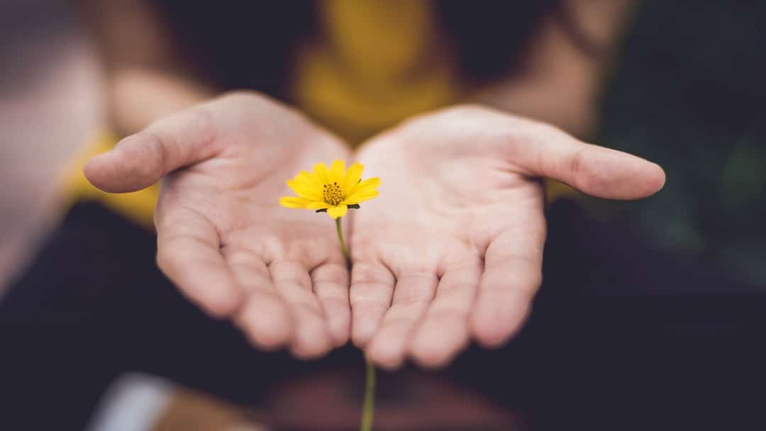 Learning to Forgive Yourself